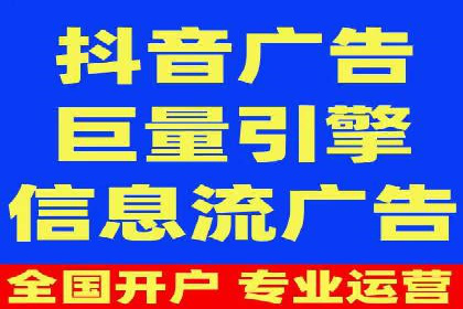竞价广告在XX行业的成功应用案例